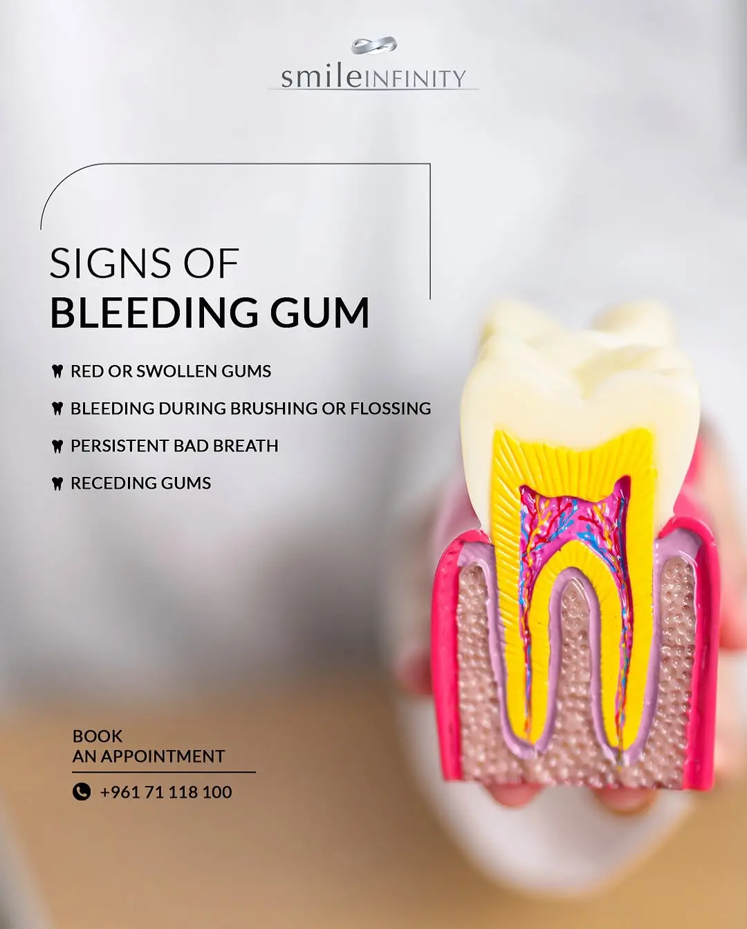 BADRA Dental Clinic — dental equipment